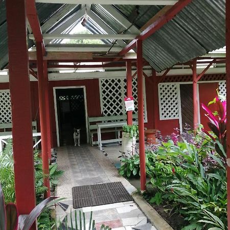 Hospedaje Meryscar Tortuguero Esterno foto