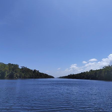 Hospedaje Meryscar Tortuguero Esterno foto