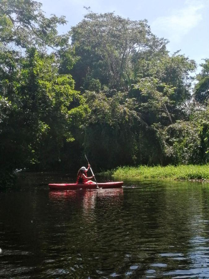 Hospedaje Meryscar Tortuguero Esterno foto