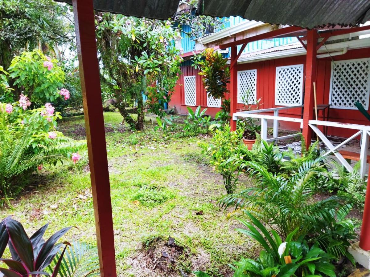 Hospedaje Meryscar Tortuguero Esterno foto