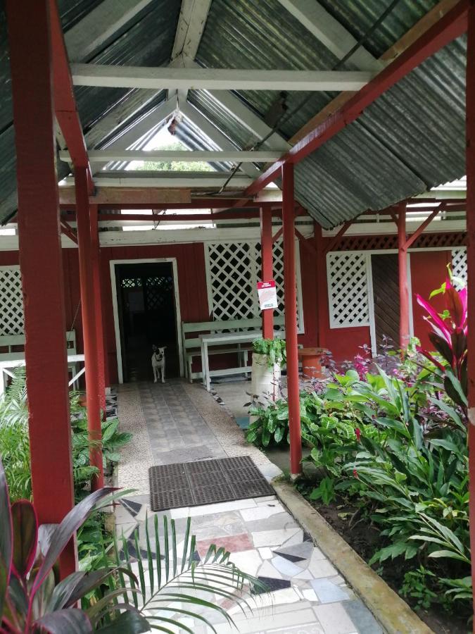 Hospedaje Meryscar Tortuguero Esterno foto