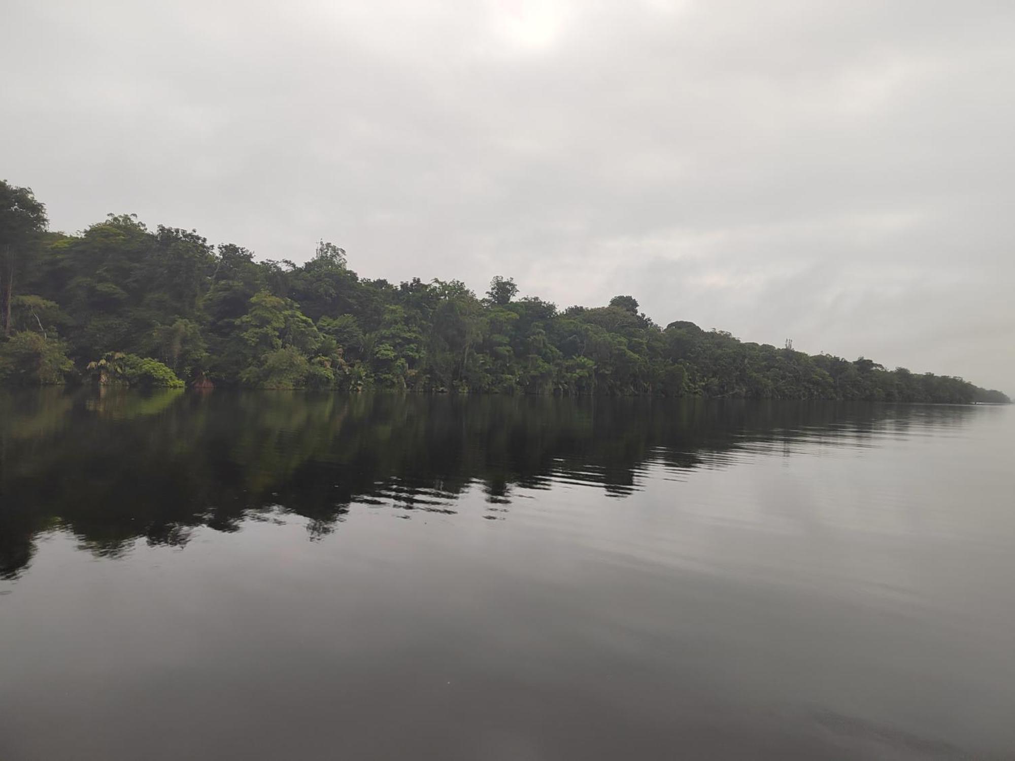 Hospedaje Meryscar Tortuguero Esterno foto