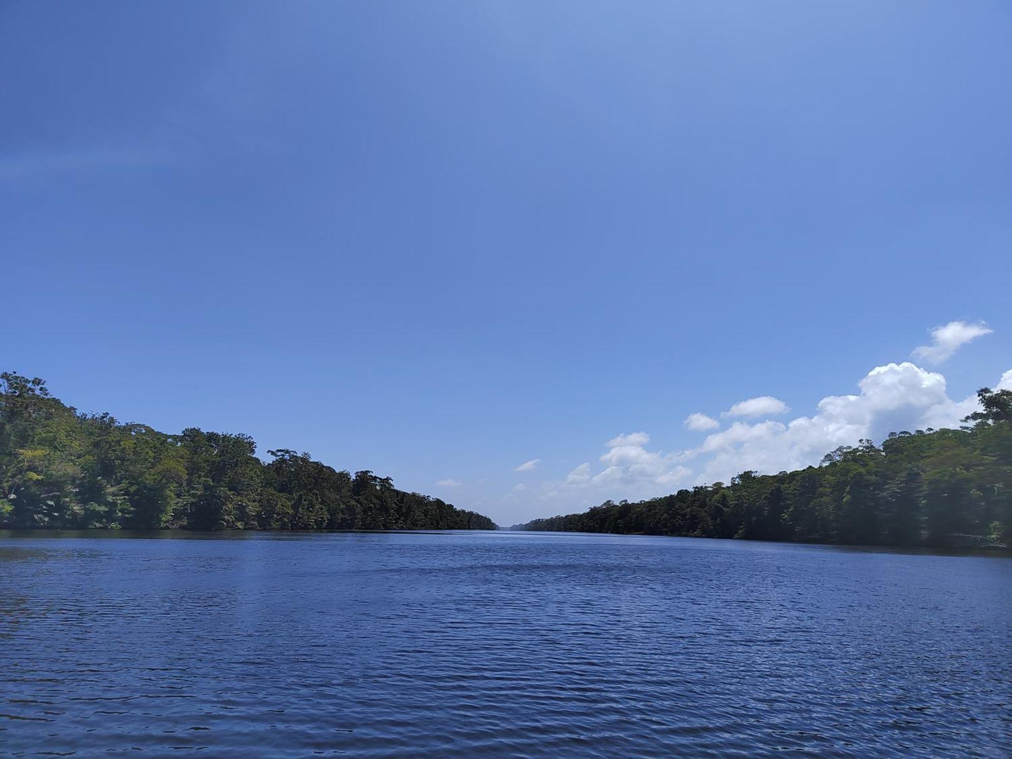 Hospedaje Meryscar Tortuguero Esterno foto