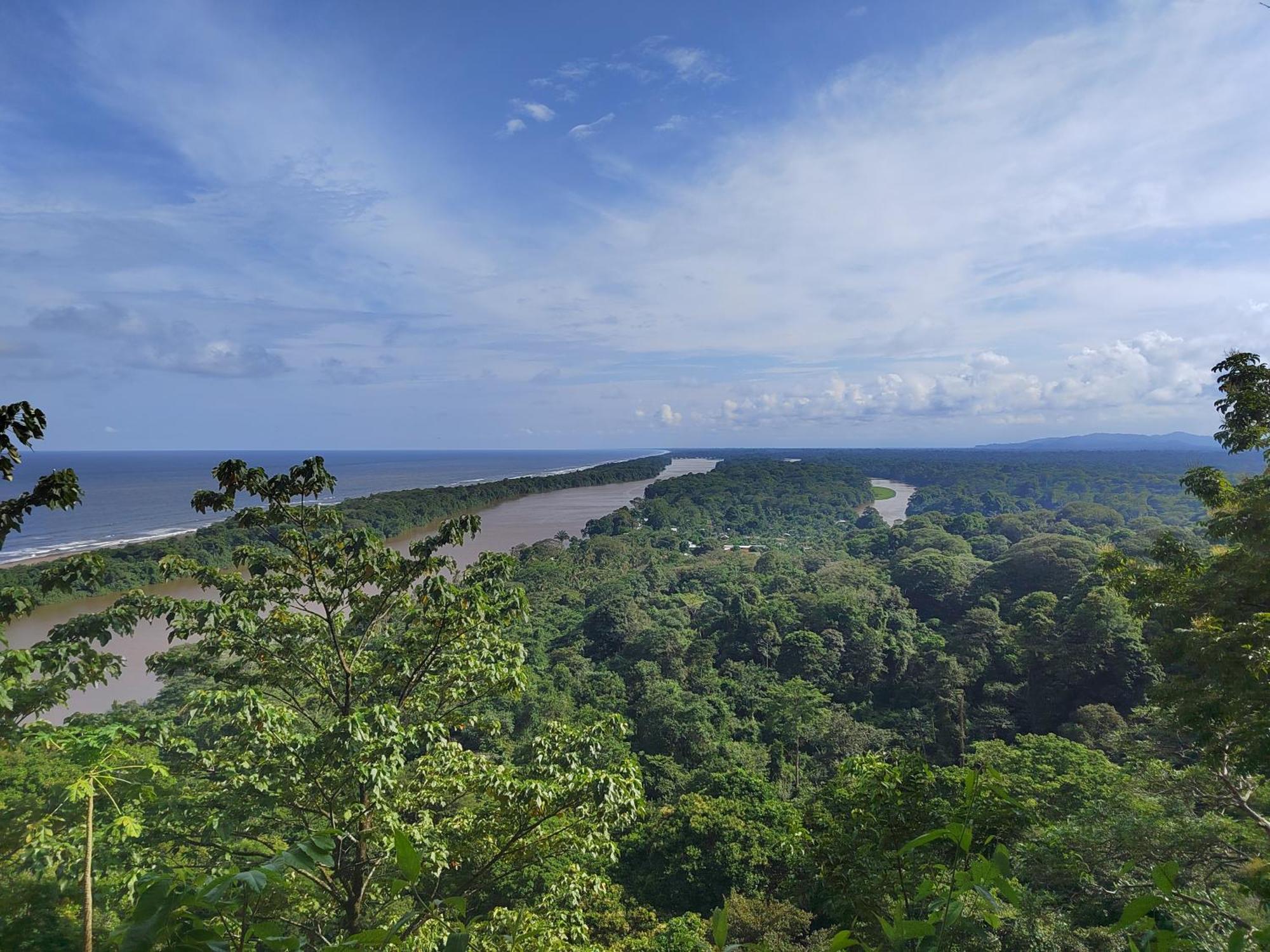 Hospedaje Meryscar Tortuguero Esterno foto