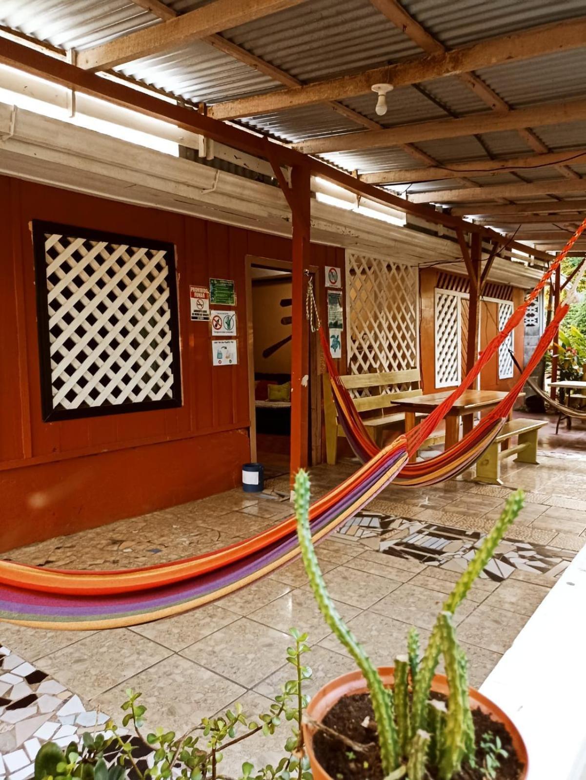 Hospedaje Meryscar Tortuguero Esterno foto