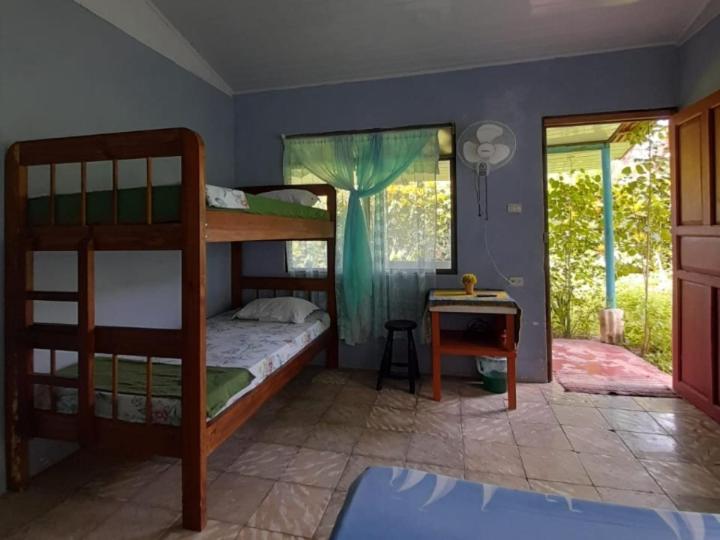 Hospedaje Meryscar Tortuguero Esterno foto