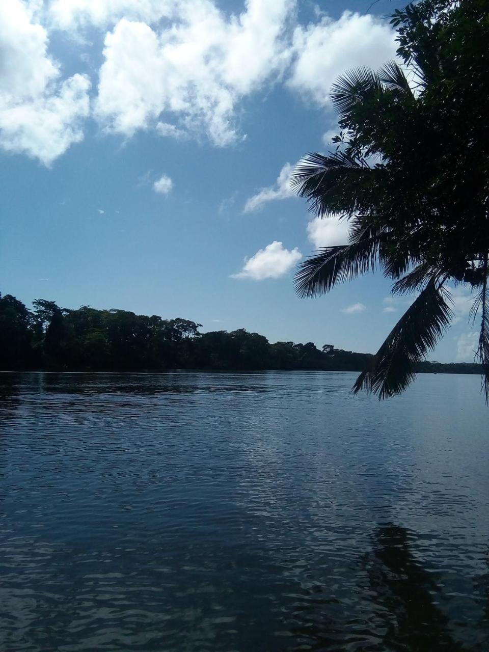 Hospedaje Meryscar Tortuguero Esterno foto